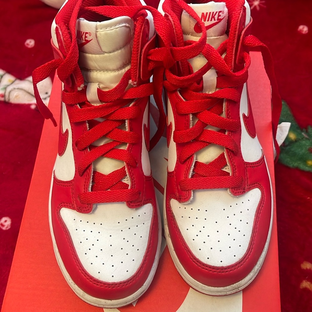 Nike kids high dunks